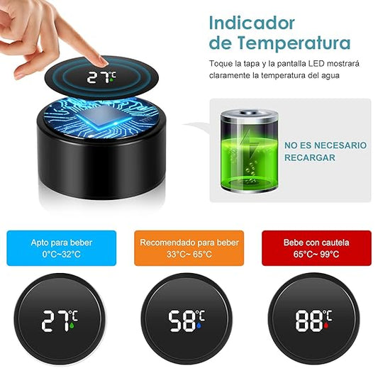 Temperature Water Bottle