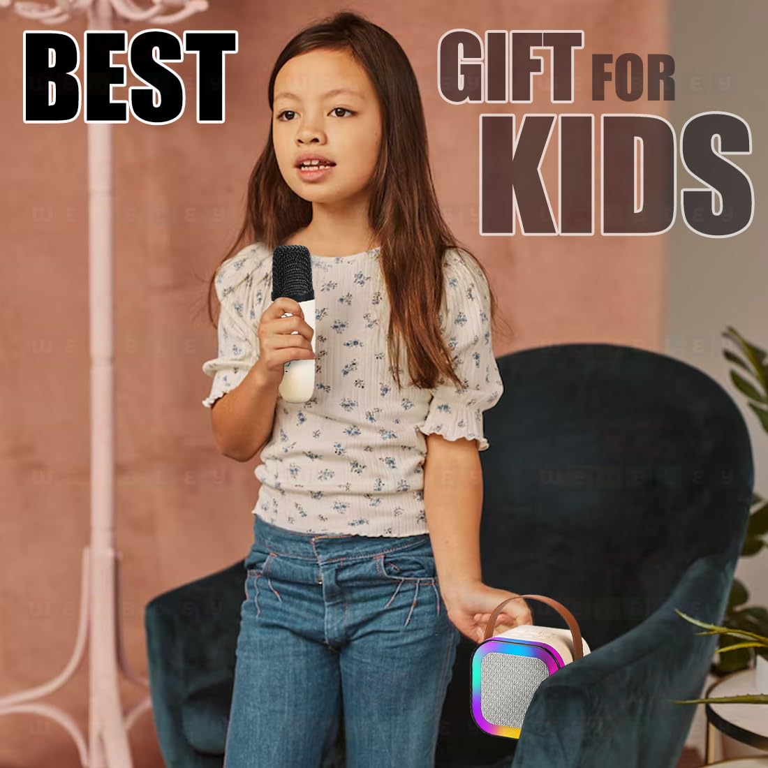 Portable Bluetooth Speaker with Wireless Microphone