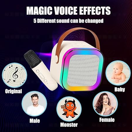 Portable Bluetooth Speaker with Wireless Microphone